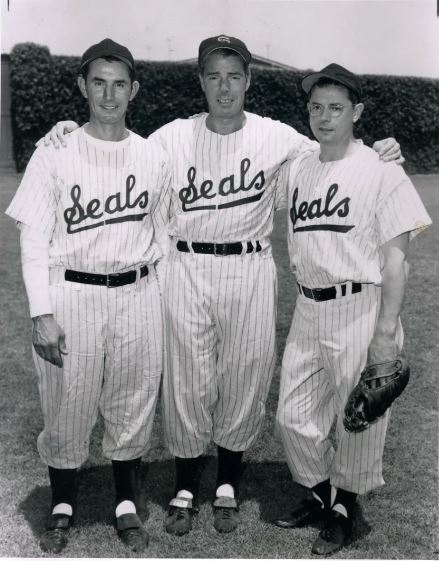 DiMaggio Brother For The Seals 