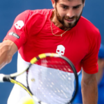Simone Bolelli, An Italian Professional Tennis Player
