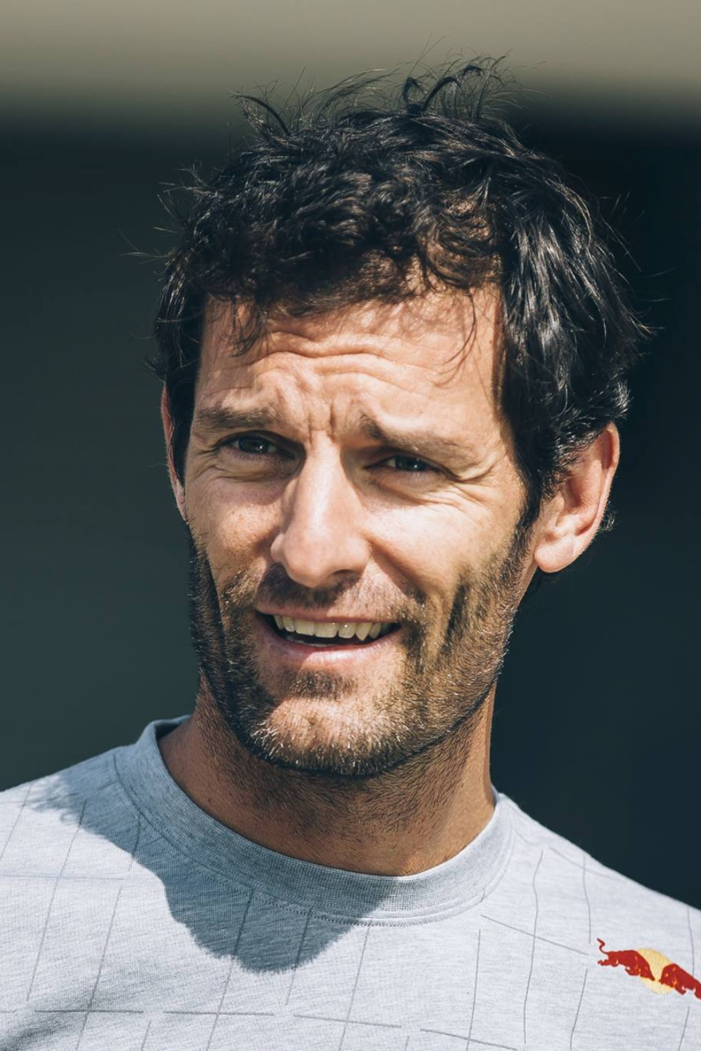 The Former F1 Racer, Mark Webber