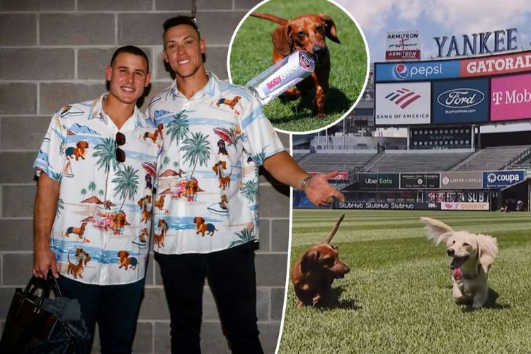 Anthony Rizzo And Aaron Judge Pet Dogs, Kevin And Penny Are Best Friends