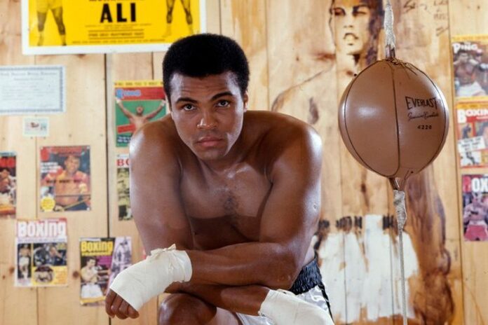 Ali 464 Muhammad Ali Parents And His Childhood Stories - Players Bio