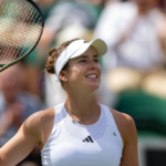 Elina Svitolina And Gael Monfils Split Rumors