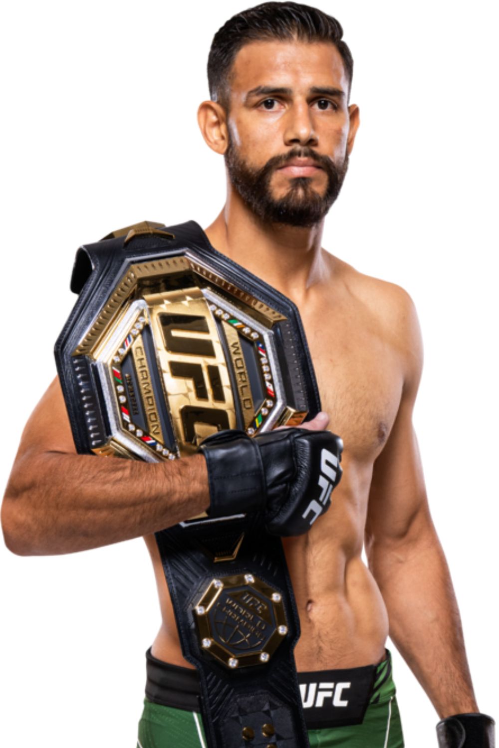 Yair Rodriguez Mexican Professional Mixed Martial Artist