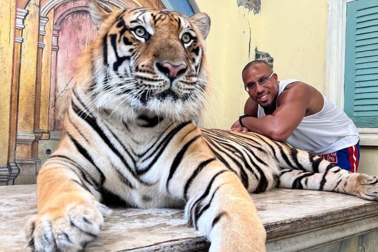 Ian Pictured Chilling With A Tiger During His Trip To Phuket, Thailand 