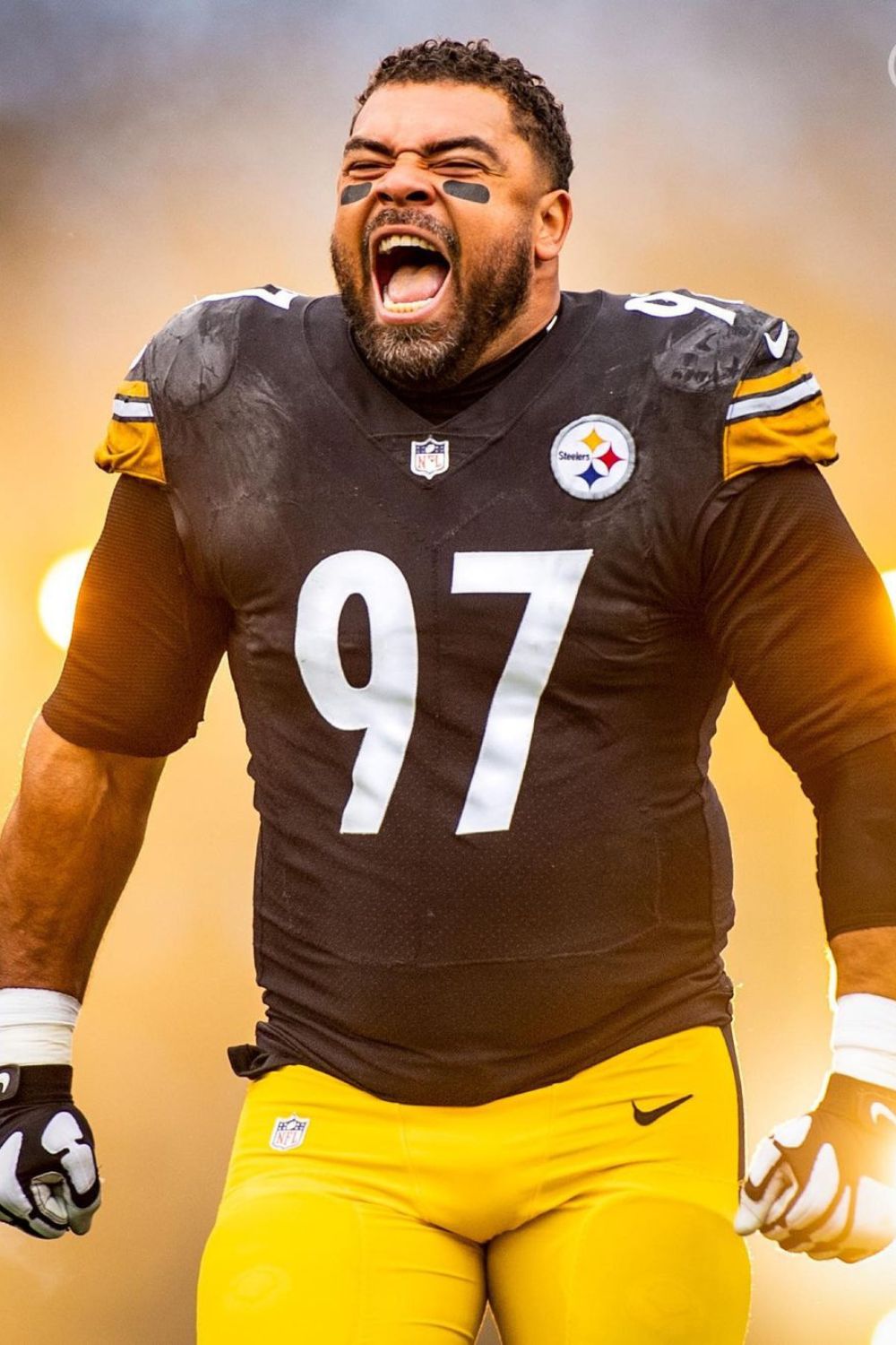 American Football Player Cameron Heyward