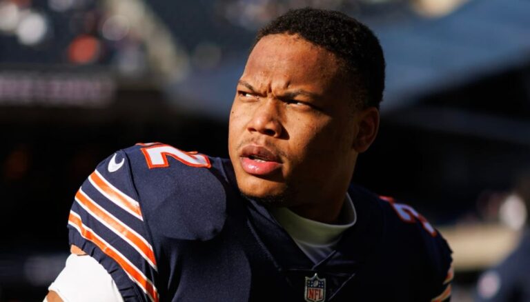 David Montgomery NFL Player