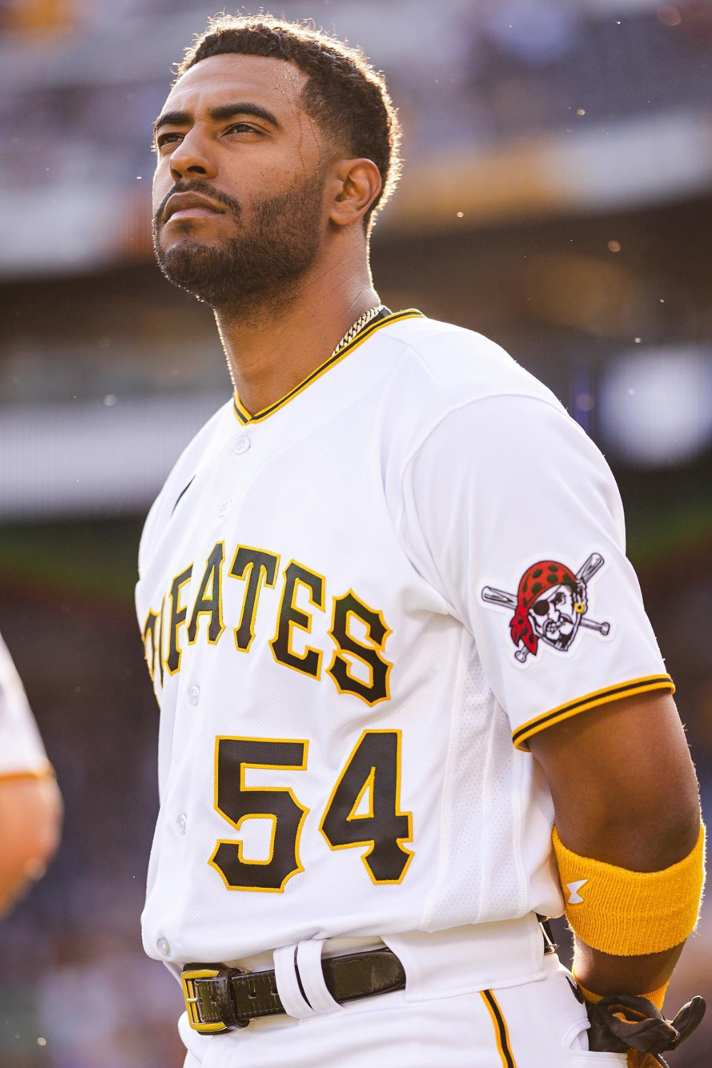 Josh Palacios, A Professional Baseball Player