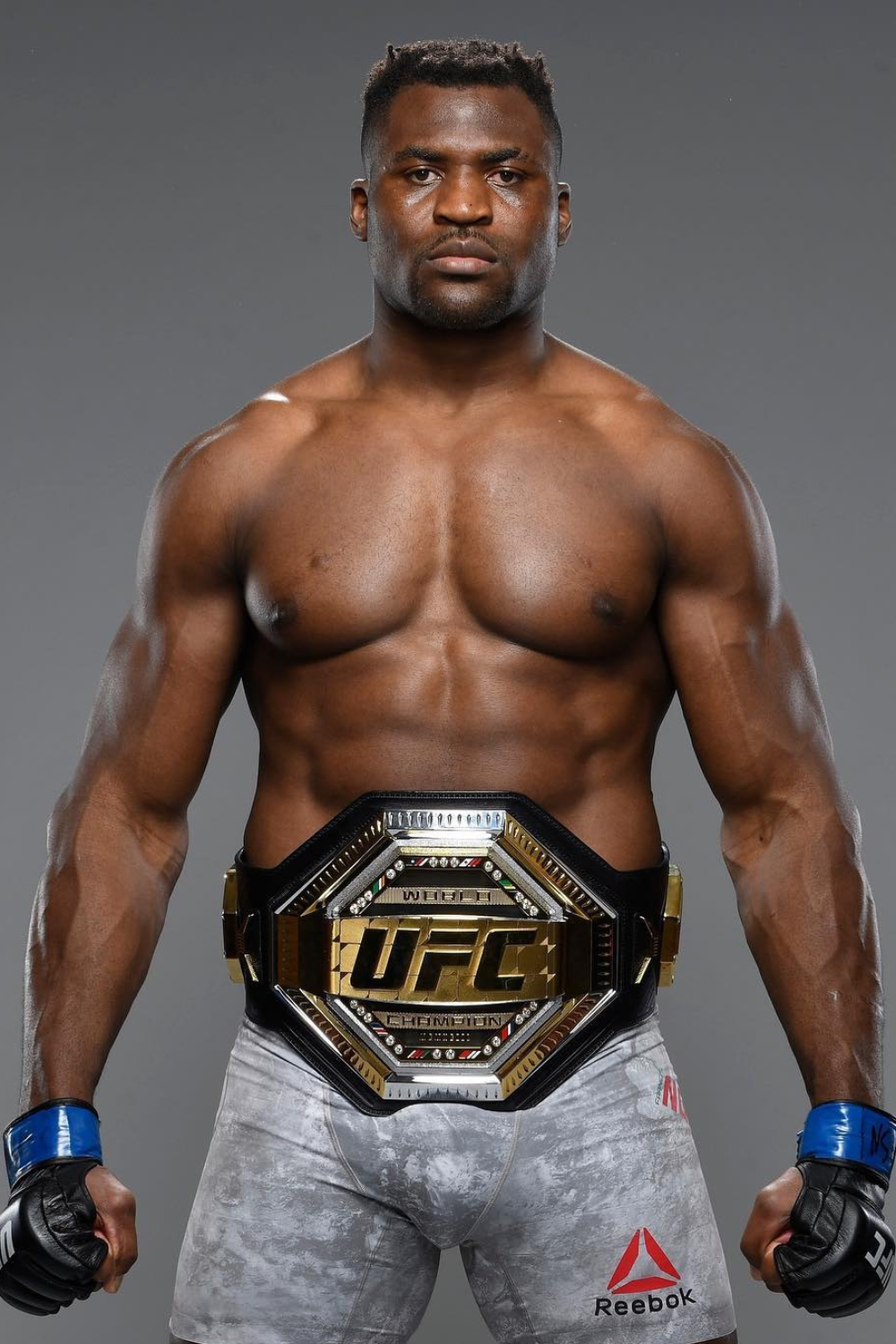 Professional MMA Fighter And Boxer Francis Ngannou