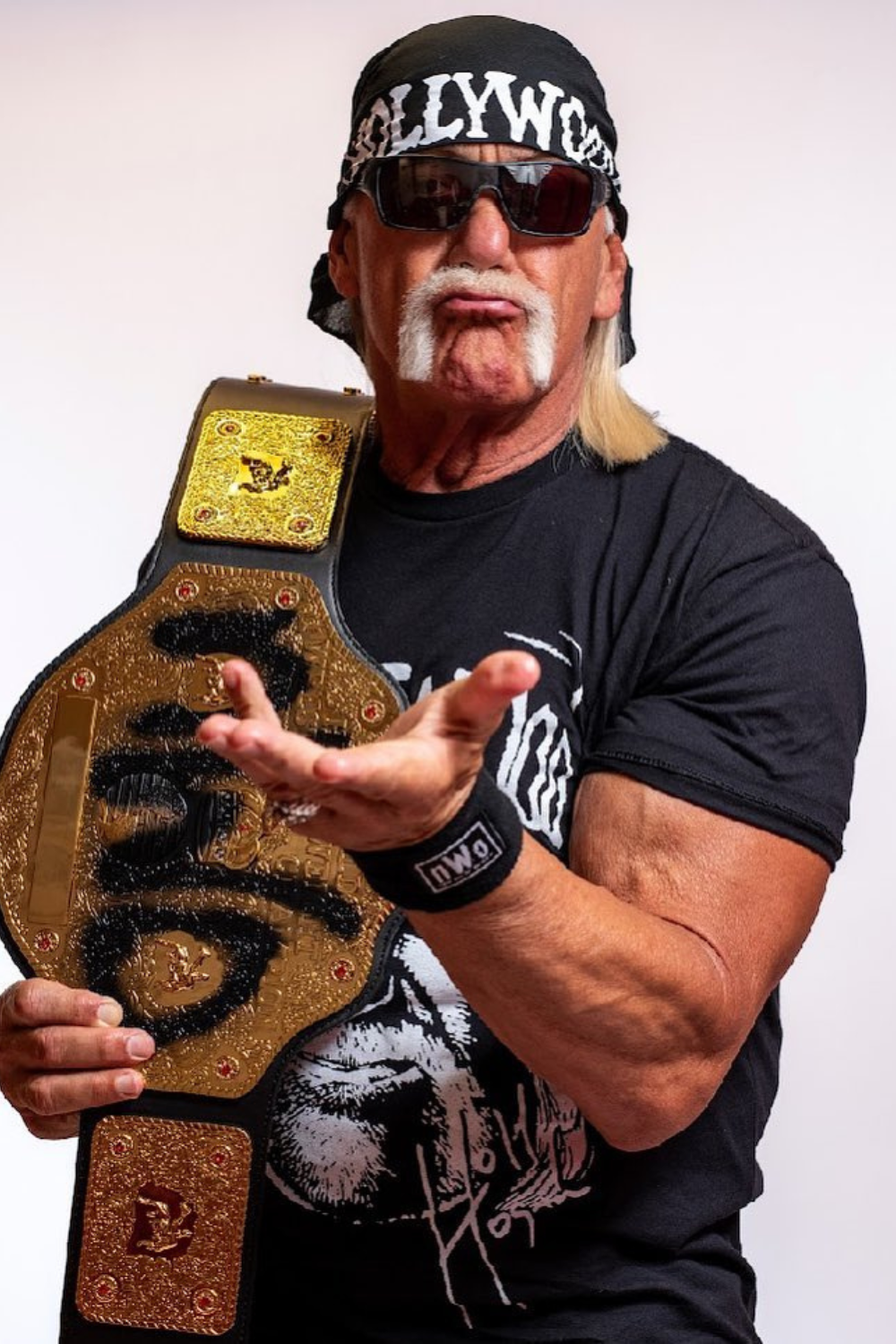 American Retired Professional Wrestler, Hulk Hogan