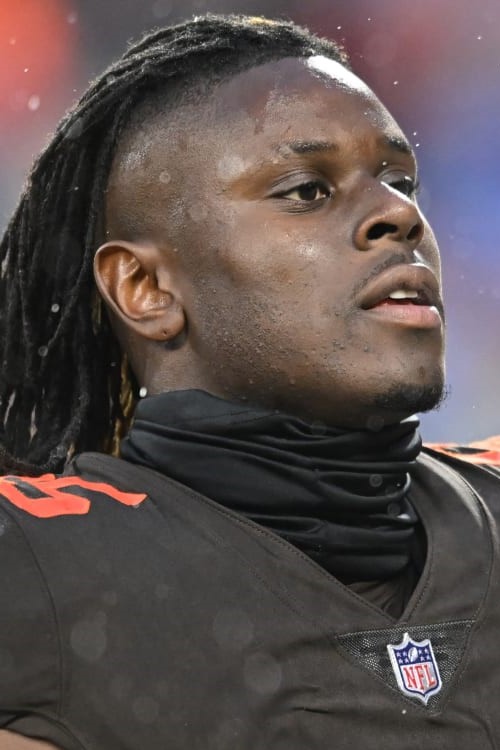 American Professional Football Player David Njoku