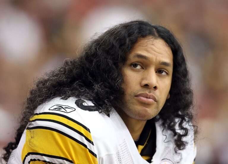 Troy Polamalu