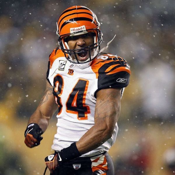 Houshmandzadeh Made More Than $15 Million From His NFL Career