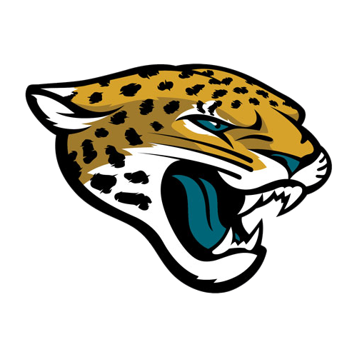 Jacksonville Jaguars, One of The NFL Teams