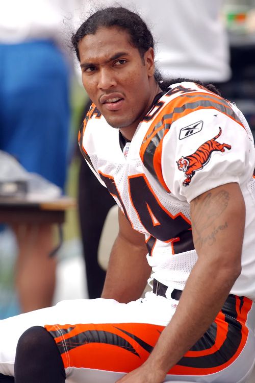 Retired NFL Player T. J. Houshmandzadeh Has Mixed Ancestry