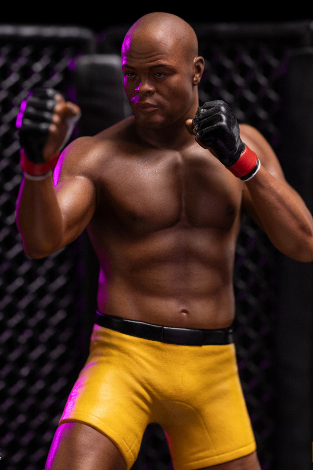 Anderson Silva, Former Brazilian Mixed Martial Artist And Boxer