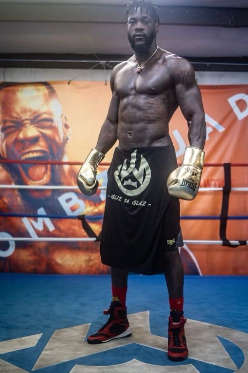 Deontay Wilder Is A Popular American Boxer