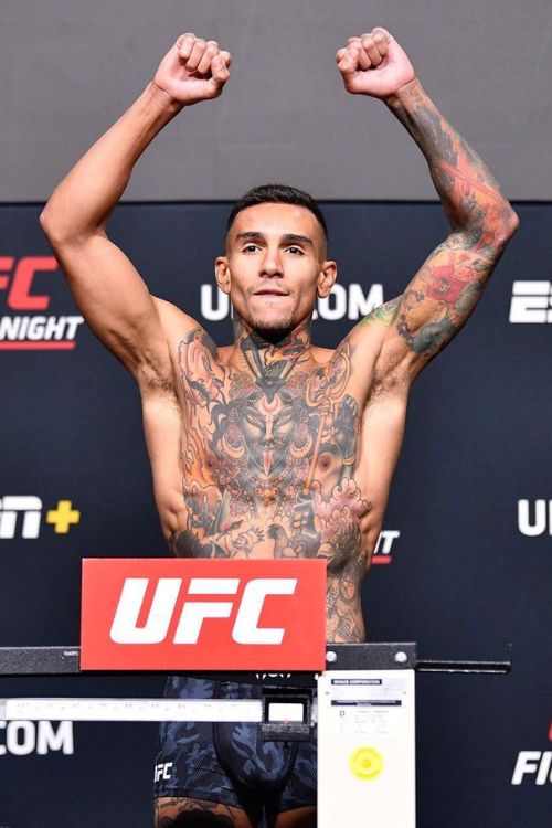 Andre Fili Is UFC Fighter