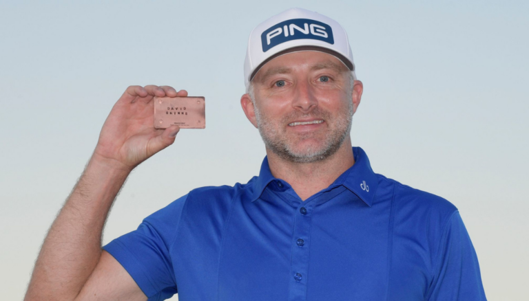 David Skinns Net Worth