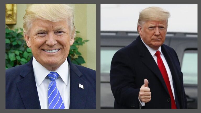 Collage image of Donald Trump
