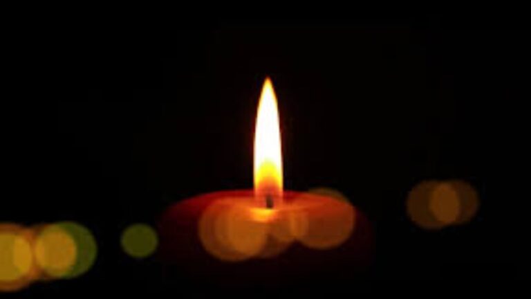 Ronald Lynn Settle death