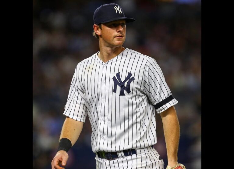What Happened To DJ LeMahieu