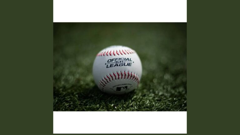 8U Baseball Autistic Complaint