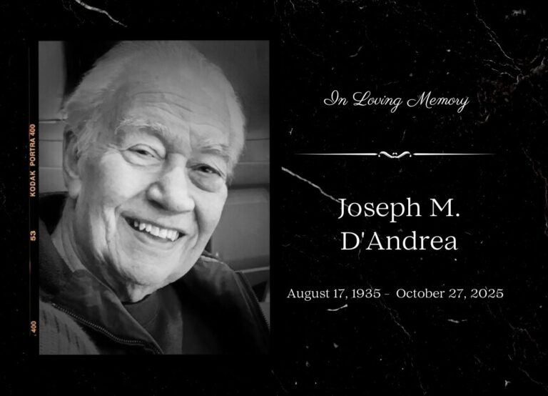 Beloved New Haven Baseball Coach Joseph M. D’Andrea, Jr. Passes Away at 90, Leaving Behind His Wife, Son, and Grandchildren.