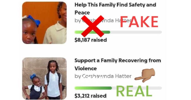 Fake GoFundMe Pages for Chicago Mom