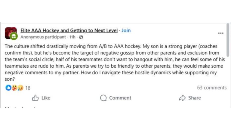 AAA youth hockey toxic culture