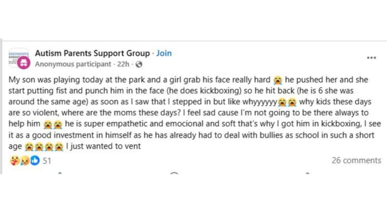 Children’s Playground Fight
