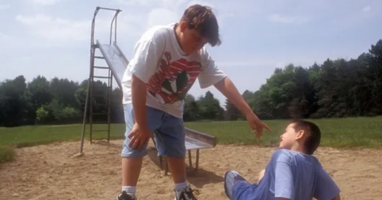 School Bully
