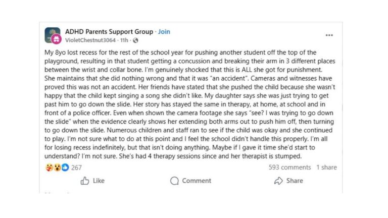 Severe Playground Injury Sparks Outrage: Was the Punishment Too Lenient?