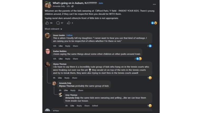 Auburn NY park incidents