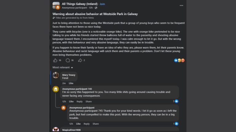 Westside Park Galway incident