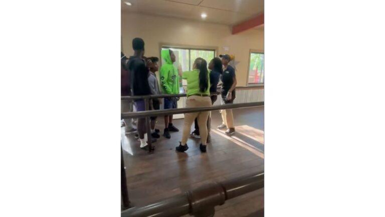 Wild Adventures theme park fight