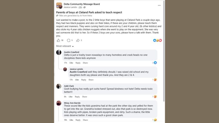 Delta park incident