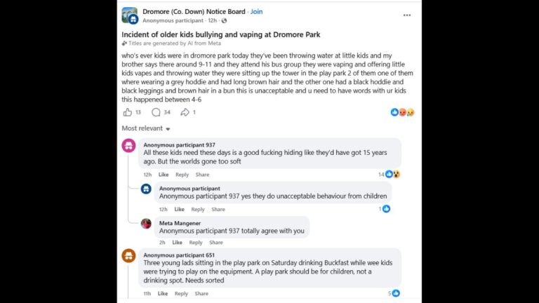 Dromore Park vaping incident