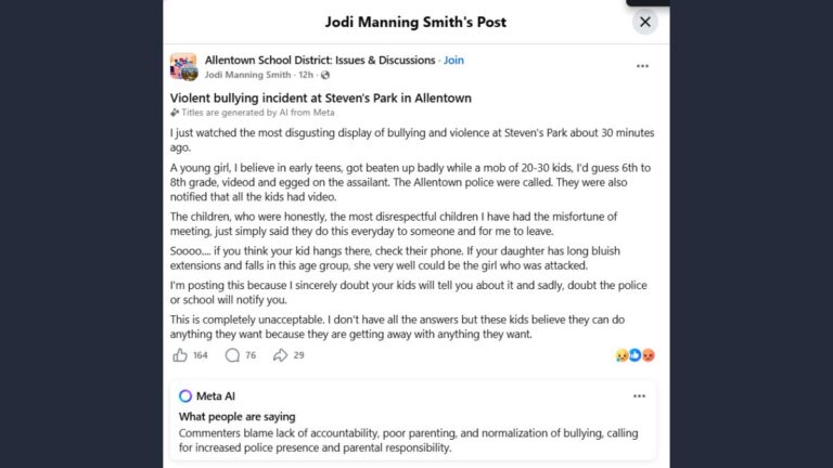 Steven's Park Allentown violence