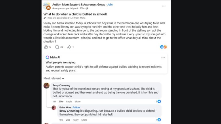 autism school bullying