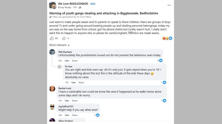 youth gang attacks Biggleswade