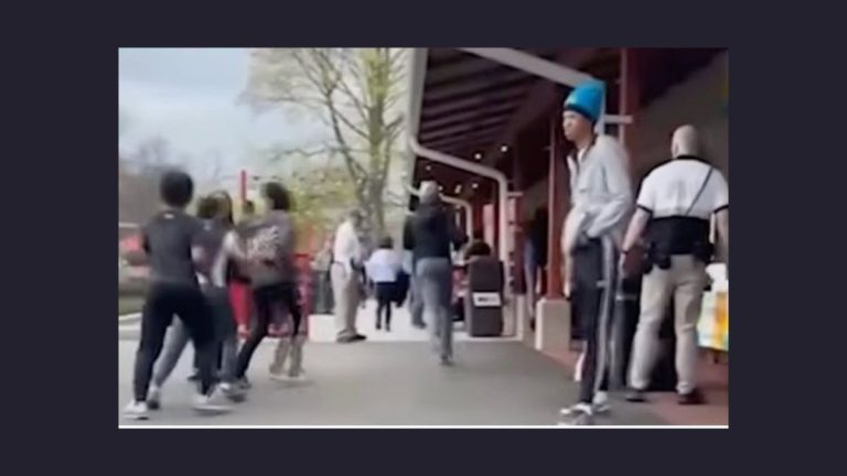 Hersheypark teen fight