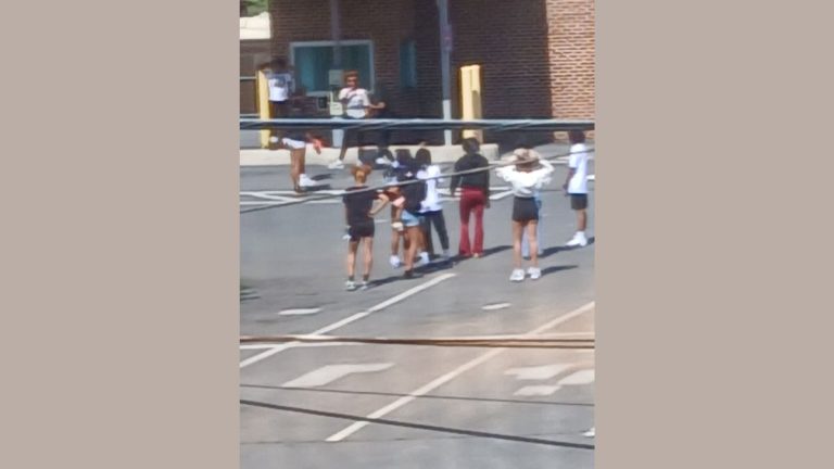 Tallahassee teen fight Rite Aid Maclay