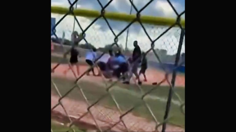 8U Baseball brawl
