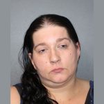 Delaware Park vandalism sentencing