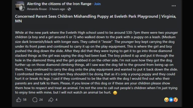 puppy mishandled Eveleth park