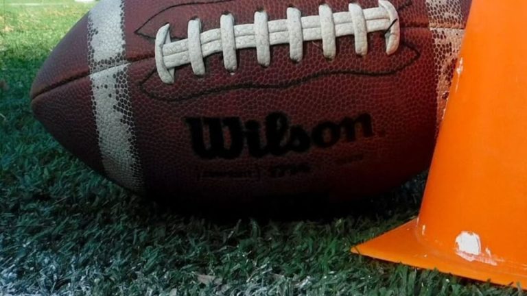 Oberlin football coaches fight
