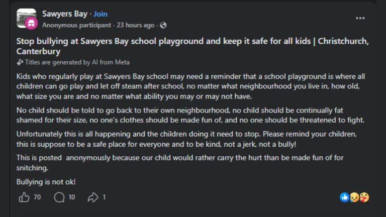 Sawyers Bay School bullying