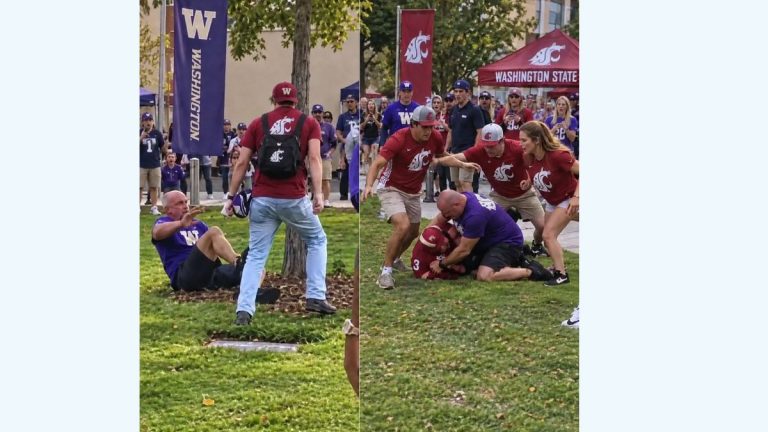 Washington Huskies fan brawl